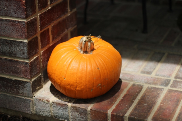 Walking with Cake: Everlasting Pumpkin