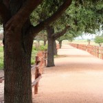 (The view from Wildseed Farms.)