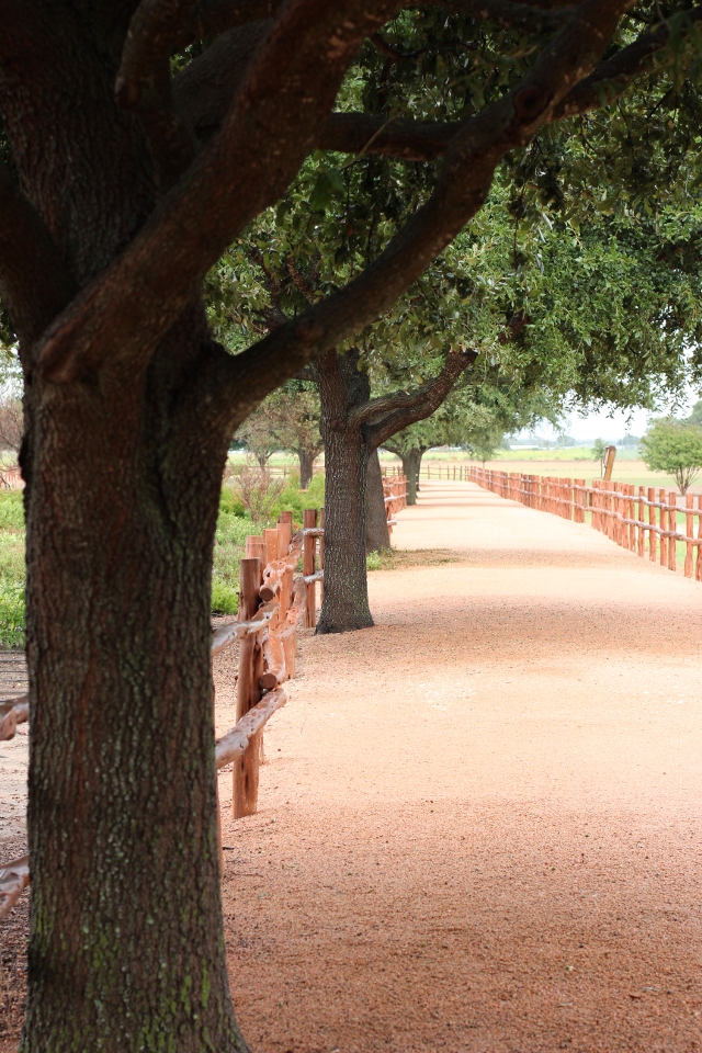 Walking with Cake: What a view