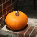 (The Everlasting Pumpkin glowing in the sun.)