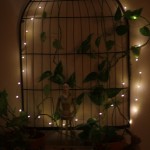 (I strung tiny lights on my plant stand, just for fun.)